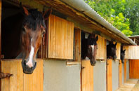 free Elveden stable construction quotes